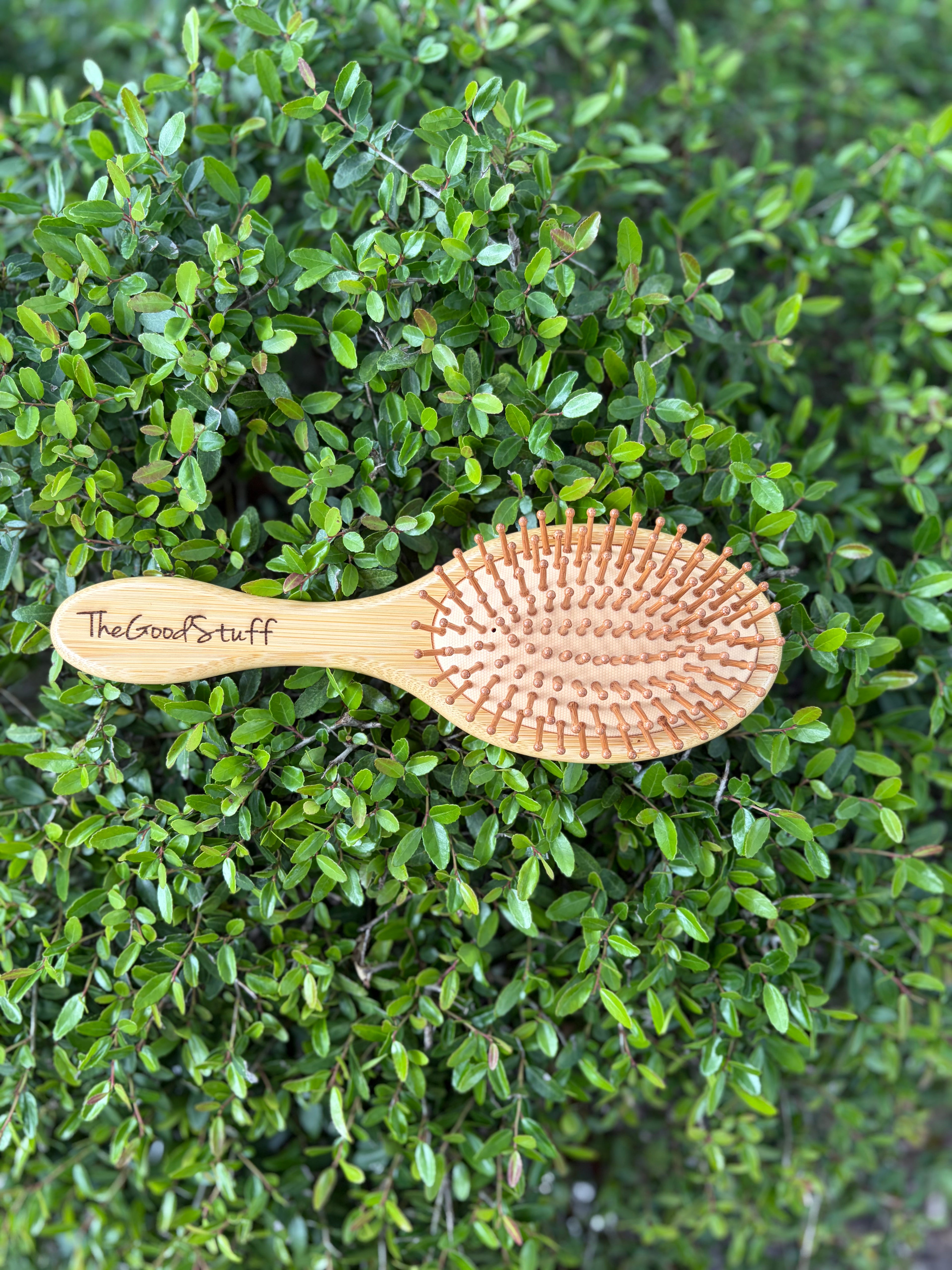 Wooden Brush